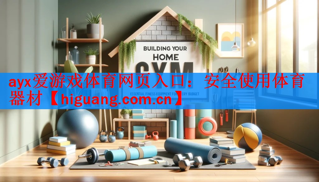 <strong>ayx爱游戏体育网页入口：安全使用体育器材</strong>